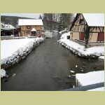 IMG_1831.jpg
